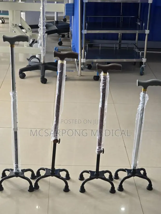 Walking Stick (Quard Cane) · Photo 1