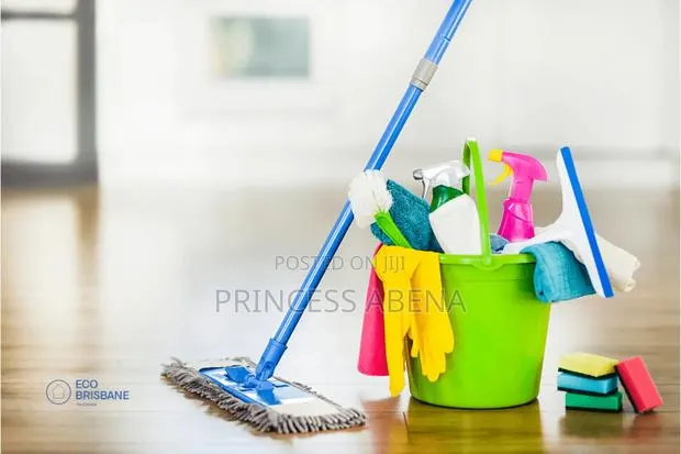 House Cleaning · Photo 1