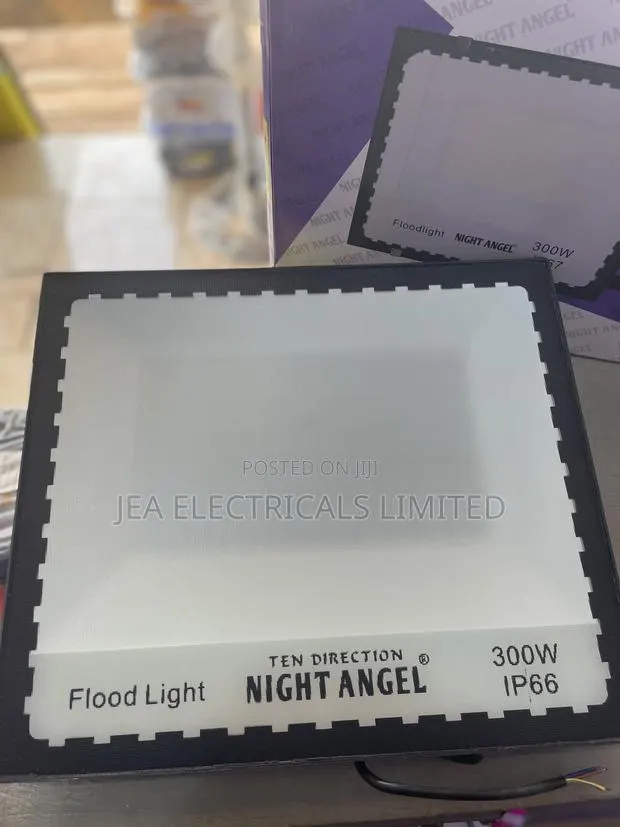 300W Floodlight · Photo 1