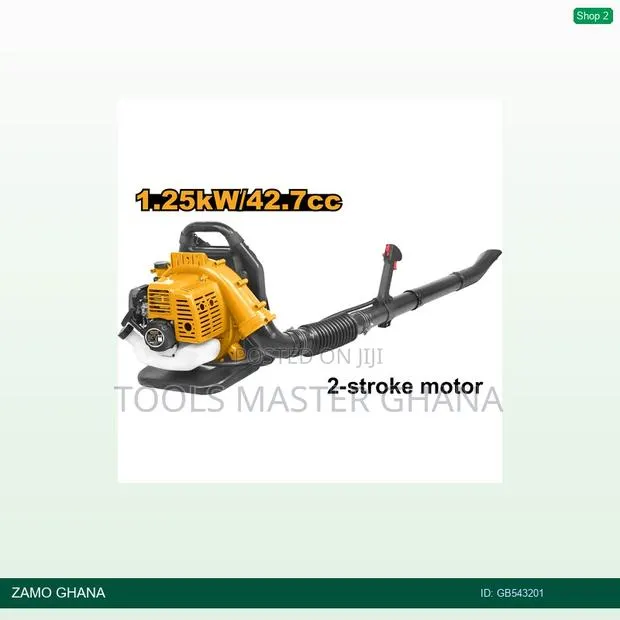 Gasoline Blower - Gb543201 · Photo 1