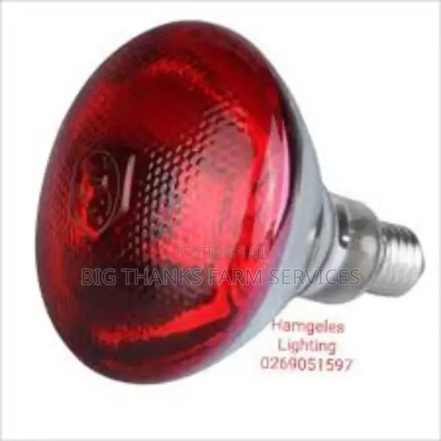 Brooder Lamps For Livestock · Photo 1