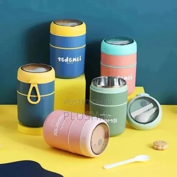 Tedemei Double Layer Bento Lunch Box · Photo 1