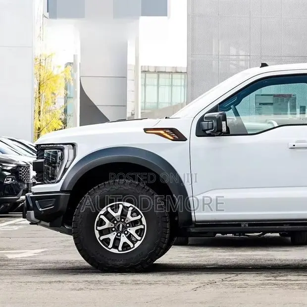 F-150 Raptor 2022 Fender Molding Led Type · Photo 1