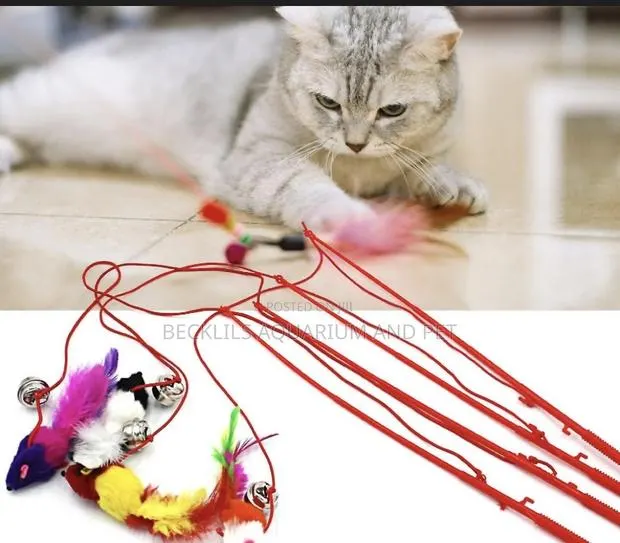 Feature Teaser Play Toy For Cat · Photo 1