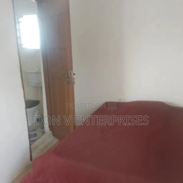 Furnished Mini Flat in Ashongman Estate for rent · Photo 4