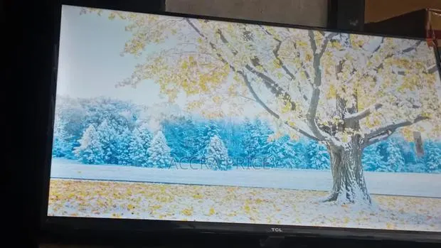 Version Surf Televisions, Self Branding 32inches TCL Television · Photo 1