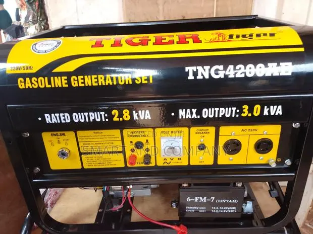 Tiger 4200ae Generator · Photo 1