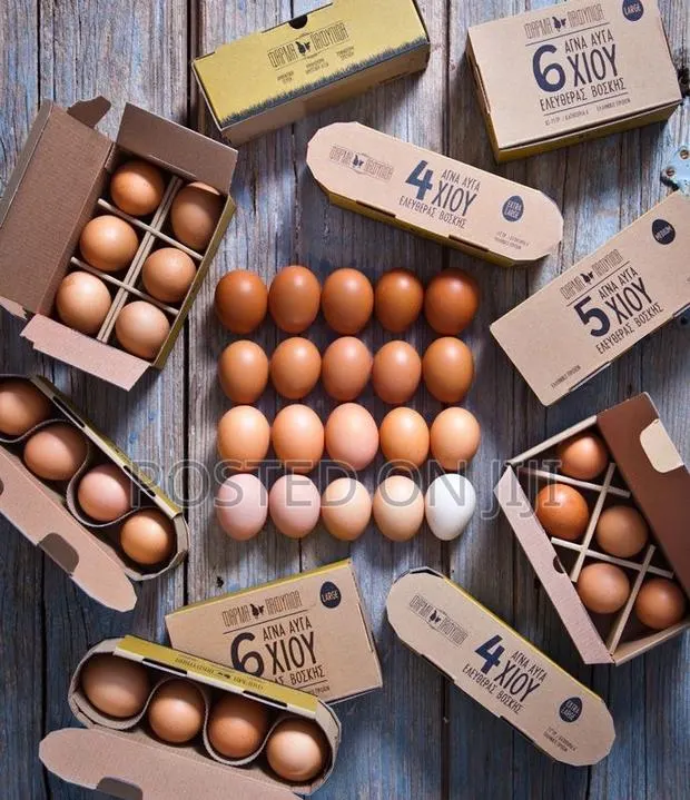 Chicken Eggs · Photo 1