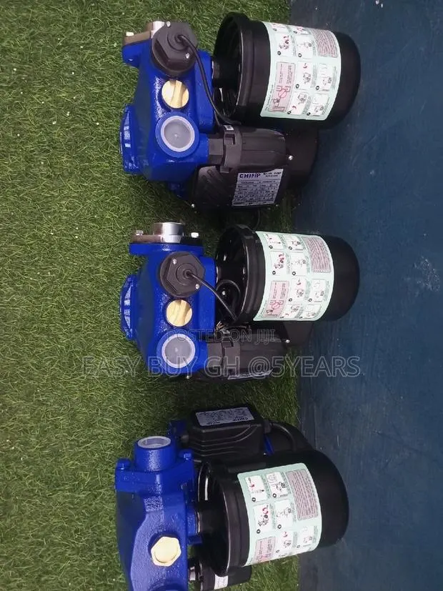 Chimp 1.5hp Original Water Pump · Photo 1