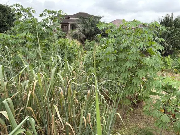One Full Plot Sale at Hilltop. · Photo 1