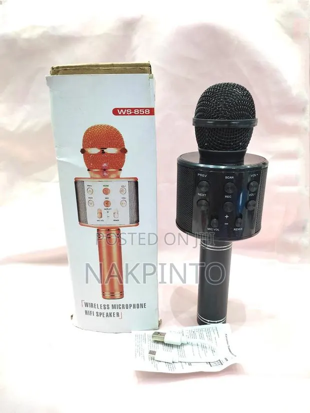 Handheld KTV Wireless Microphone Hifi Speaker · Photo 1