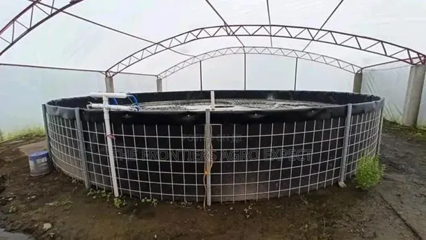 Tilapia PVC Biofloc Pond · Photo 1