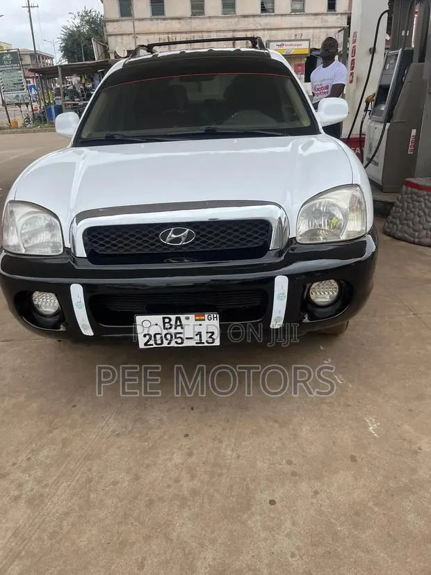 Hyundai Santa Fe 2.0 CRDi GLS 2006 White · Photo 1
