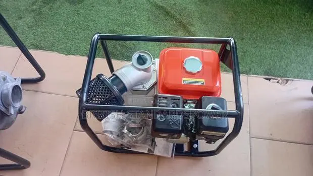 Reliable Water Pump 6.5hp Leo Quality Assured Water Pump · Photo 1