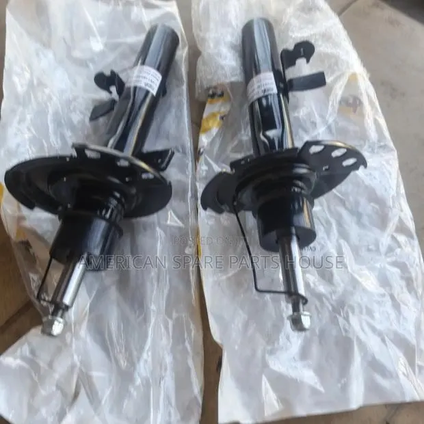 Ford Escape 2013-2019 Front Shocks · Photo 1