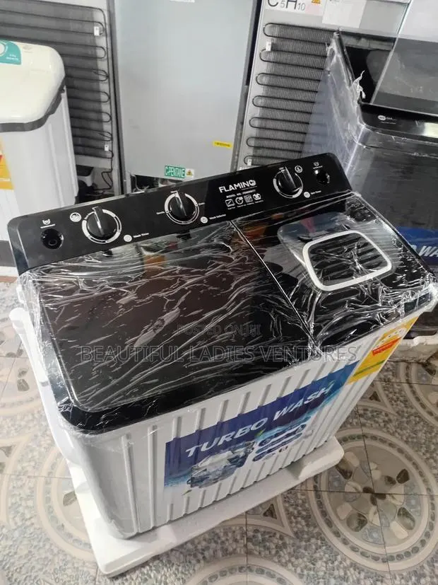 Stylish Twin Tub Washer With Modern Design · Photo 1