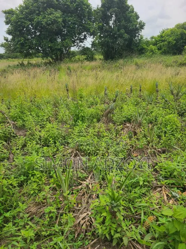 2000 Acres of Farm Land for Long-Term Lease · Photo 3