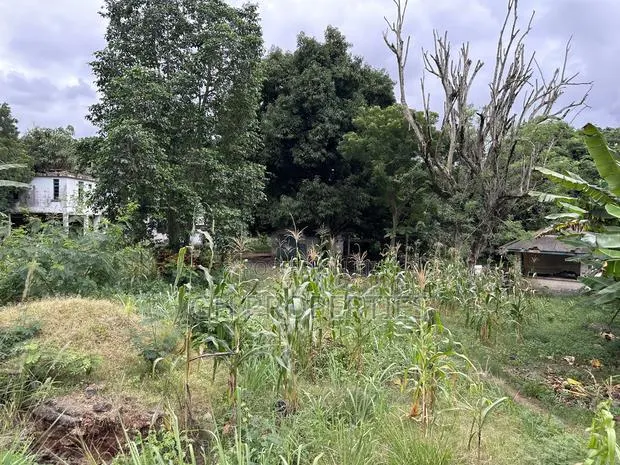 One and Half Acres at Ahodwo Roundabout to Ridge. · Photo 1