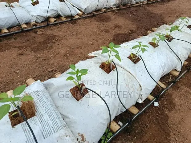 Home Garden. Services · Photo 1