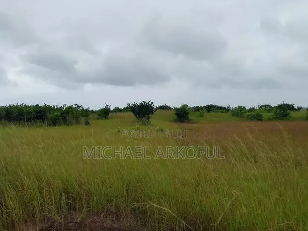 Lakeside Land for Long Lease · Photo 1