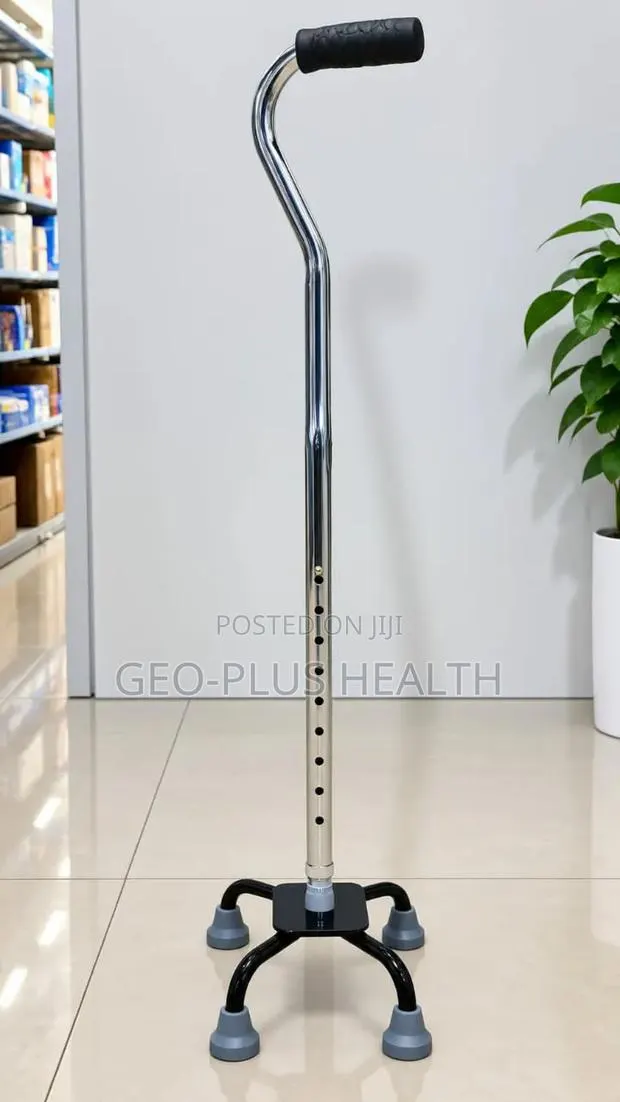 Walking Stick · Photo 1