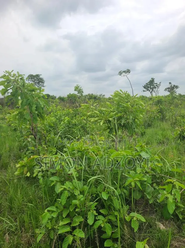 2000 Acres of Farm Land for Long-Term Lease · Photo 4
