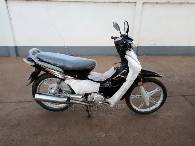 Luojia 110cc 2019 Gray · Photo 1