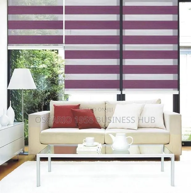 Enzo Competent Zebra Window Curtain Blinds · Photo 1