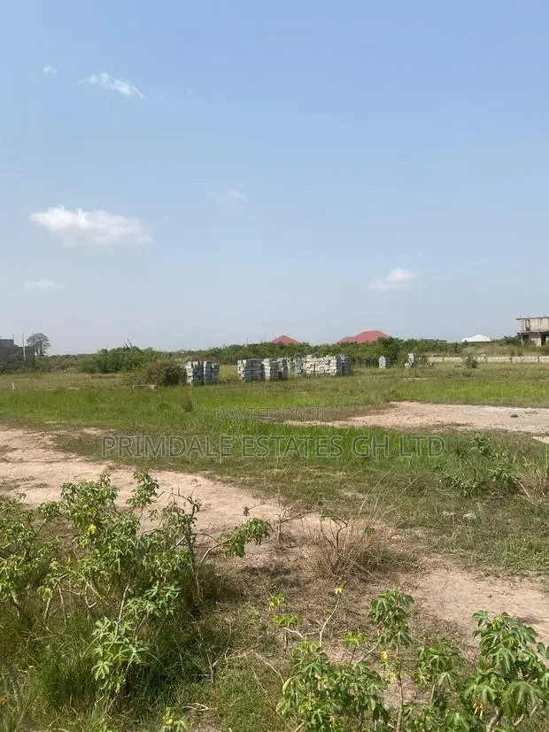 Afienya Lands Easy to Acquire! · Photo 1