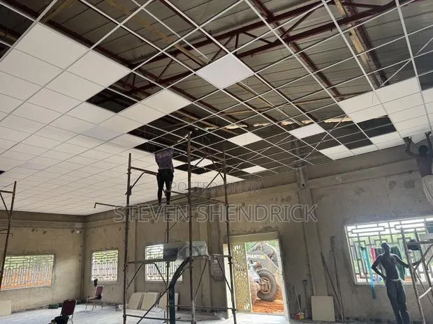 Acoustic Ceiling Materials · Photo 1