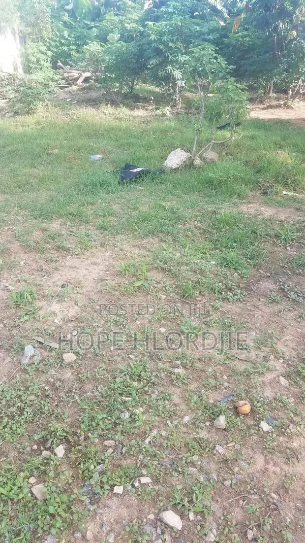 Three(3) Plots of Land for Sale at Ankarful Tikwekrom · Photo 1