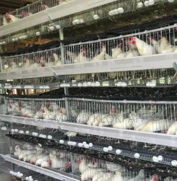 Battery Cages · Photo 1