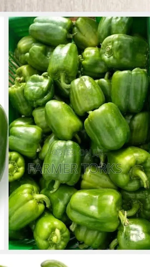 Green Pepper · Photo 1