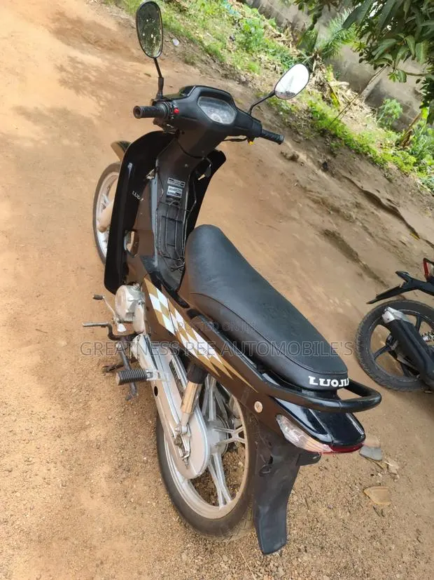 Luojia 110cc 2022 Black · Photo 1