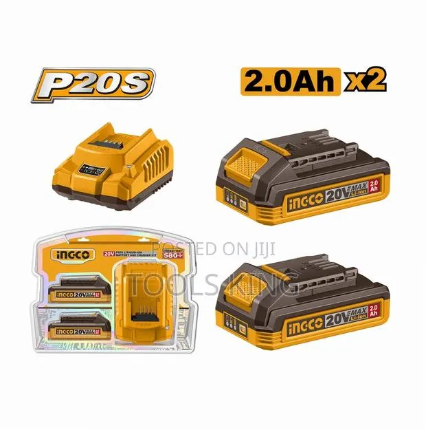 P20s Lithiumion Battery and Charger - Fbcpk2212 · Photo 1