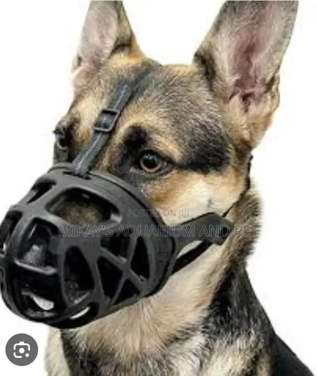 Dog Mouth Guard · Photo 1