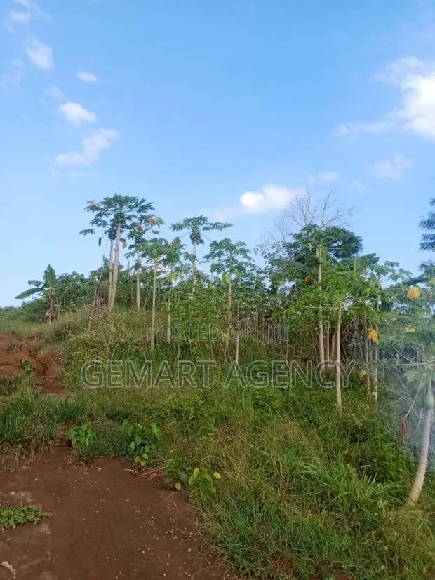 1 Plot of Land at Nsawam Okanta · Photo 1
