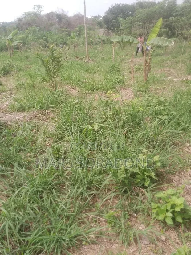 Residential Land · Photo 1