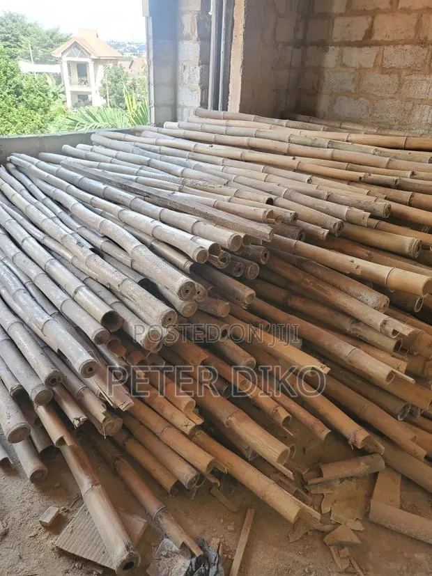 Bamboo for Construction · Photo 1