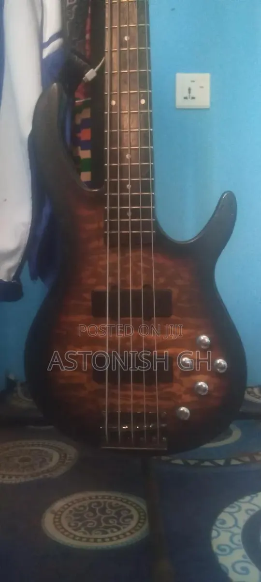 Well Sounded 5 String Bass Guitar · Photo 1
