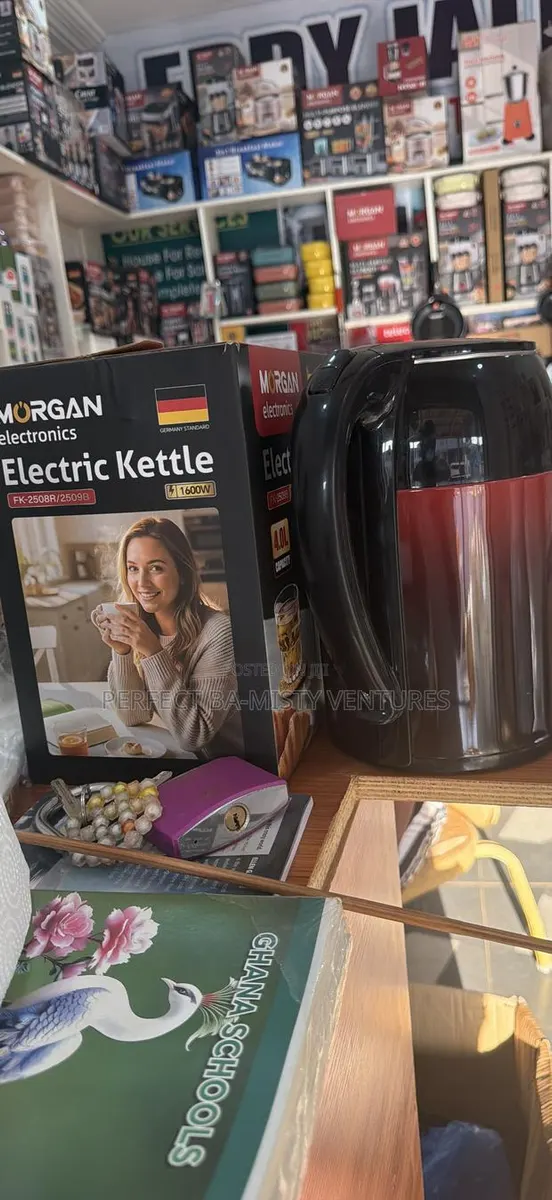Morgan Electronic Kettle 4.0 L · Photo 1