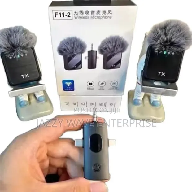Wireless Microphone · Photo 1
