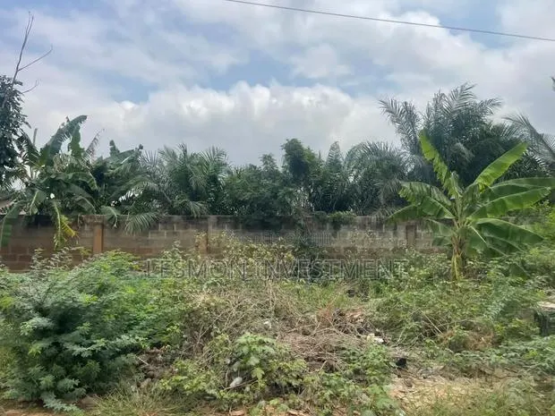 1 Plot of Land for Sale at Nmai Dzor · Photo 1