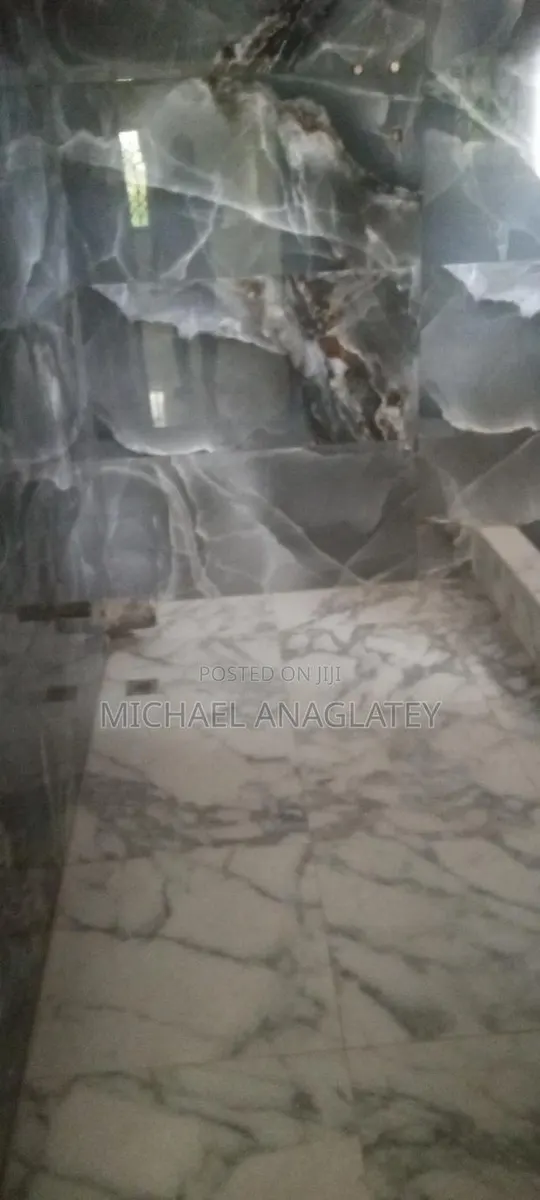 Professional Tile Layer · Photo 1
