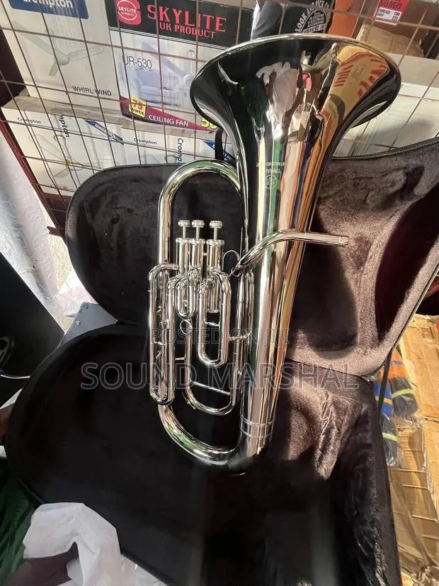 Yamaha Silver Euphonium · Photo 1