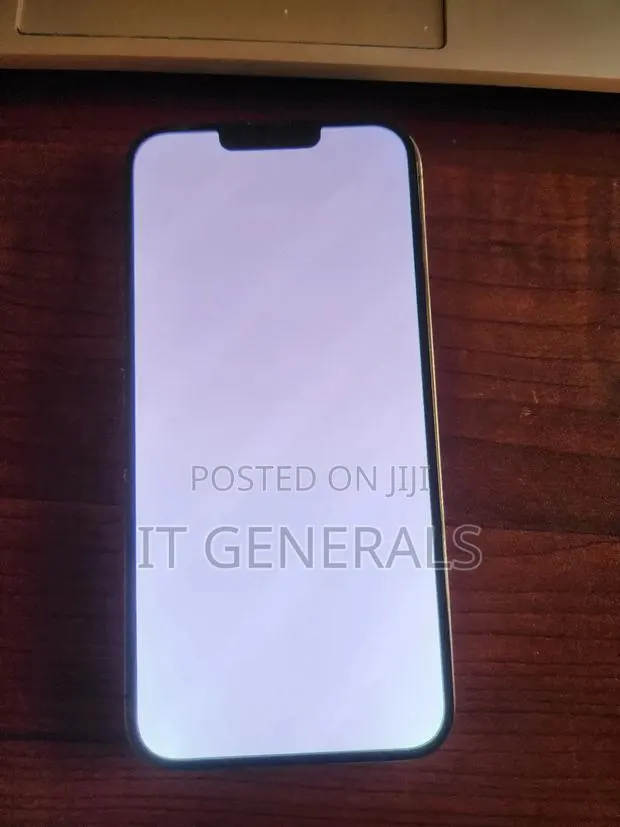 iPhone 13 Pro Max White Screen Fix · Photo 1