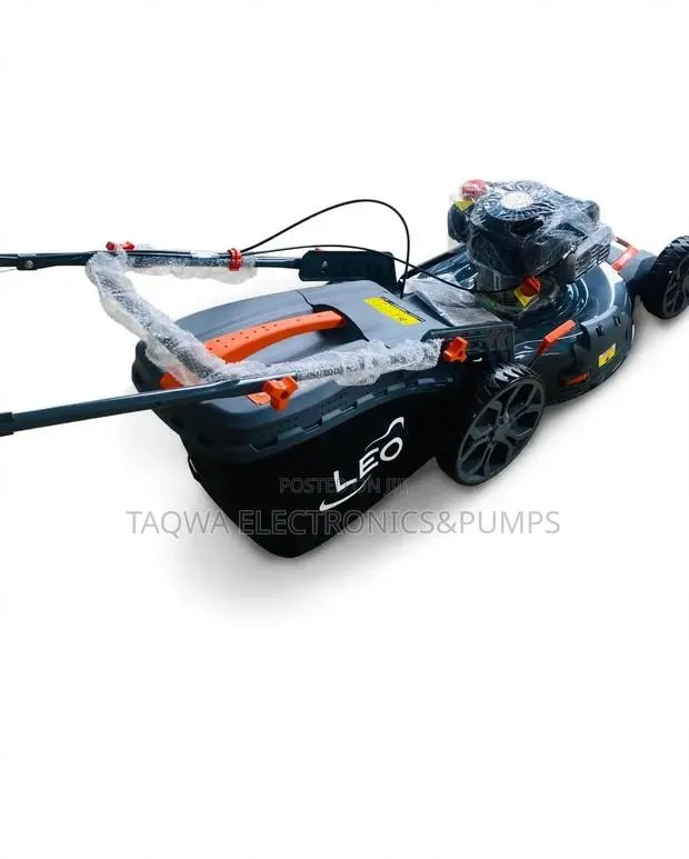 Fastest Leo Gasoline 5.5hp Lawn Mower · Photo 1