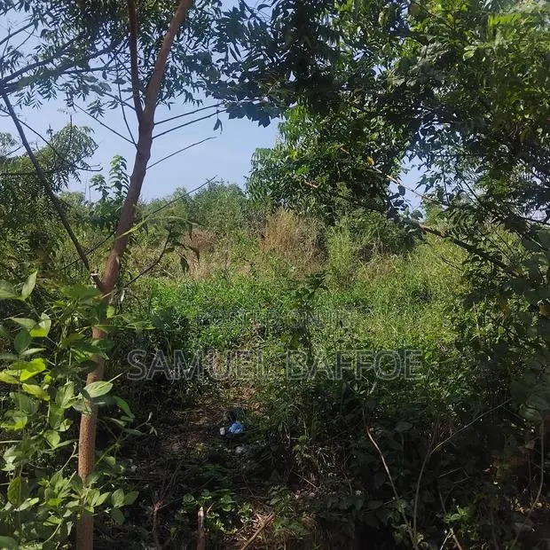 A Plot of Land · Photo 1