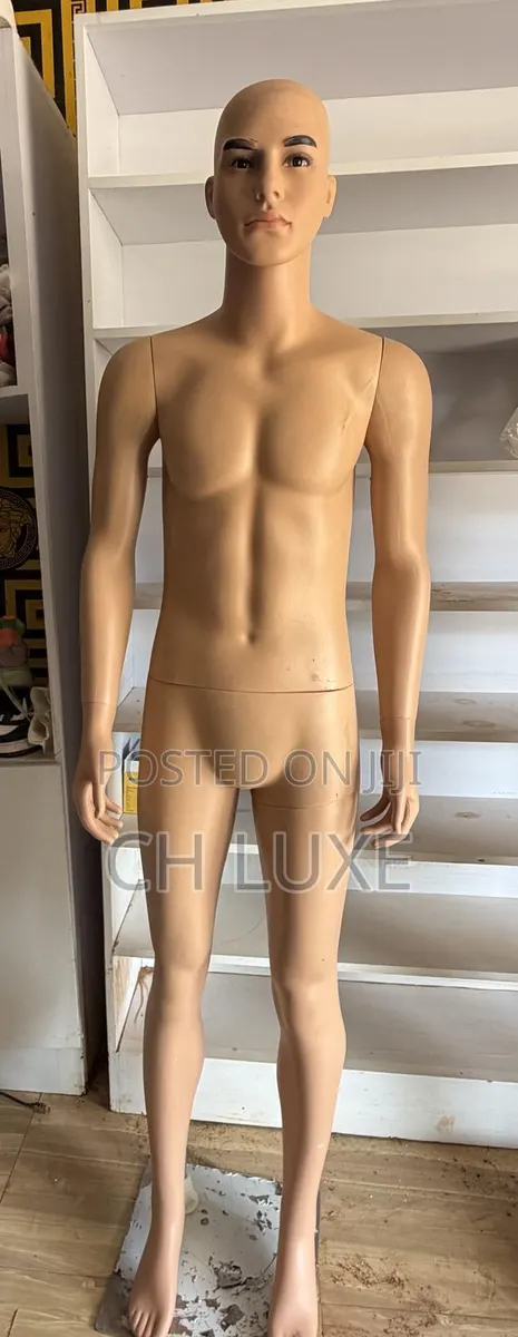 Male Mannequin · Photo 1