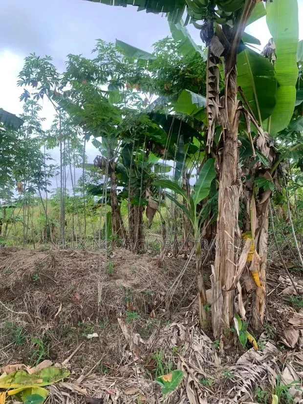 Fenced Land for Sale at Amasaman Ayikai Doblo · Photo 1